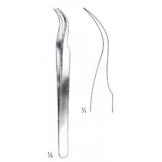 ZD 08-2146-11